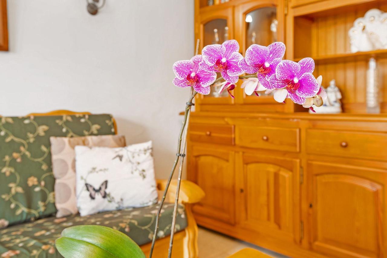 Casa Alegria 2 Daire Maspalomas  Dış mekan fotoğraf
